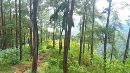 Terkesan Sepi, Ternyata Untuk Wisata Trail Adventure Kalisalak