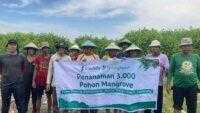 Cegah Abrasi, Stockity Tanam 3.000 Mangrove di Pesisir Semarang