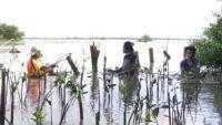 Momentum Hari Buruh, LindungiHutan Soroti Peran Komunitas untuk Konservasi Lingkungan