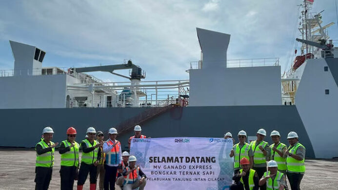 Pelindo Multi Terminal Tanjung Intan Layani Bongkar Muat 1.213 Ekor Sapi Perah Impor