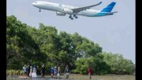 Pesisir Terancam, Mangrove Menjawab: Data Kerusakan dan Aksi Perbaikan 2025