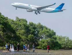 Pesisir Terancam, Mangrove Menjawab: Data Kerusakan dan Aksi Perbaikan 2025