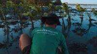 Donasi Mikro Kini Jadi Solusi Pemulihan Ekosistem di Program LindungiHutan