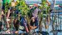 Hari Lingkungan Hidup 2025, Saat Aksi Kolektif Jadi Kunci Pulihkan Alam