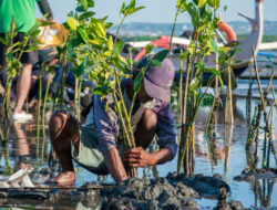 Hari Lingkungan Hidup 2025, Saat Aksi Kolektif Jadi Kunci Pulihkan Alam