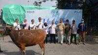 Sambut Idul Adha 1446 H, Pelindo Solusi Logistik Salurkan Hewan Kurban ke Berbagai Wilayah Indonesia