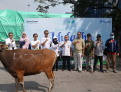 Sambut Idul Adha 1446 H, Pelindo Solusi Logistik Salurkan Hewan Kurban ke Berbagai Wilayah Indonesia