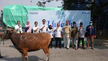 Sambut Idul Adha 1446 H, Pelindo Solusi Logistik Salurkan Hewan Kurban ke Berbagai Wilayah Indonesia