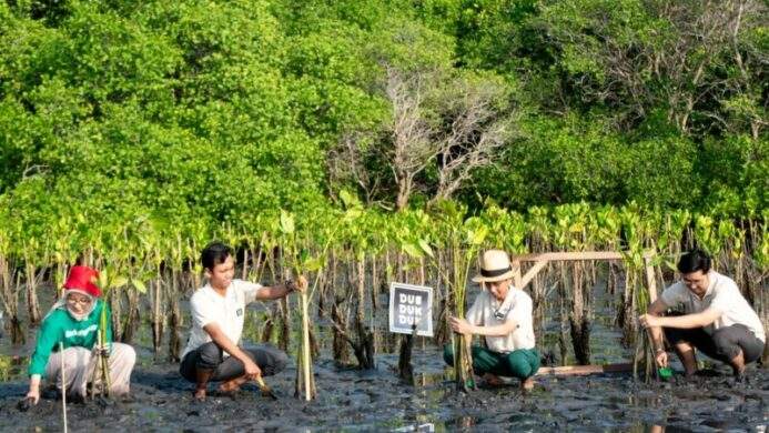 Carbon Offset Diuji Relevansinya Ini Tanggapan Para Ahli