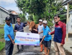 Rayakan Idul Adha 1446 H, PLTU Cilacap dan Mitra Kerja Salurkan 37 Ekor Sapi dan 11 Ekor Kambing kepada Masyarakat
