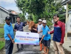 Rayakan Idul Adha 1446 H, PLTU Cilacap dan Mitra Kerja Salurkan 37 Ekor Sapi dan 11 Ekor Kambing kepada Masyarakat