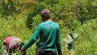 LindungiHutan Dorong Perusahaan Perluas Dampak CSR hingga Tingkat Ekosistem