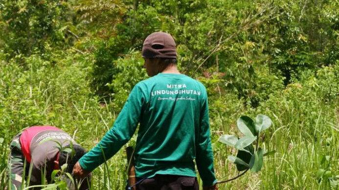LindungiHutan Dorong Perusahaan Perluas Dampak CSR