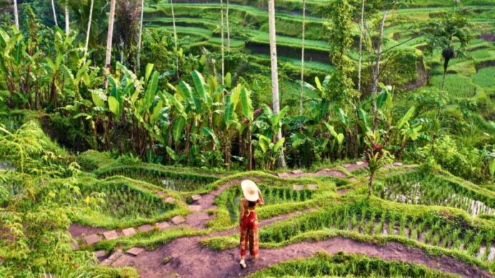 Rahasia Bali Jadi Ikon Pariwisata Berkualitas yang Mendunia