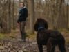 Tips Trekking ke Gunung Bareng Anjing Kesayangan