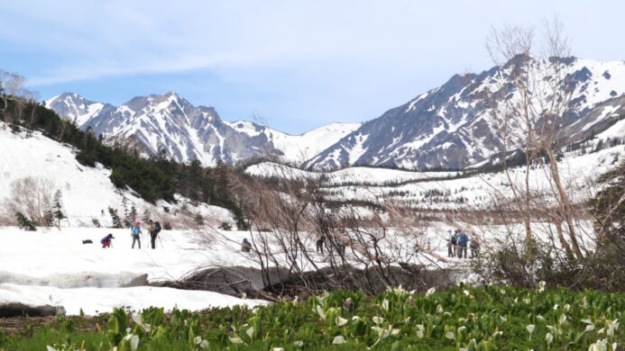 Desa Otari di Nagano “Taman Alam Tsugaike” Dibuka pada 7 Juni