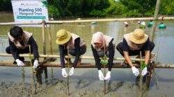 KAI Logistik Tanam 500 Mangrove: Dorong Logistik Berkelanjutan