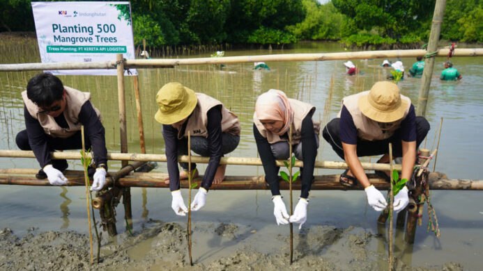 KAI Logistik Tanam 500 Mangrove