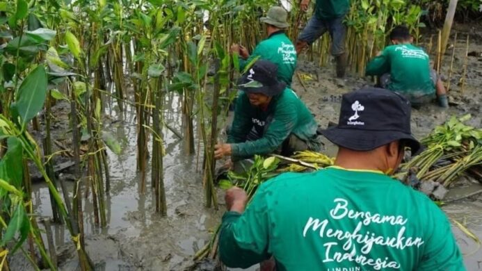 LindungiHutan