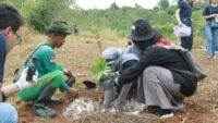 Sambut Plastic Free July, LindungiHutan Dorong Aksi Penanaman Pohon