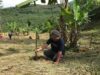 Ancaman Hilangnya Hutan Indonesia Saatnya Meninjau Ulang Kebijakan Karbon Kita