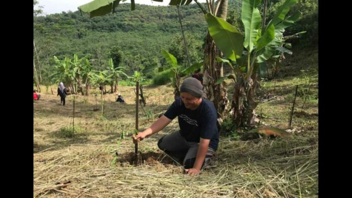 Ancaman Hilangnya Hutan Indonesia Saatnya Meninjau Ulang Kebijakan Karbon Kita