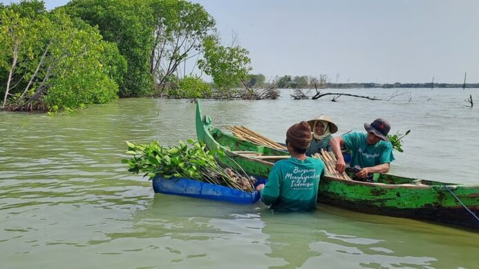 Kampanye Pohon Lindungi Hutan (2)