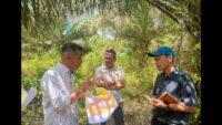 REA Berdayakan Lebih dari 600 Petani Swadaya di Kalimantan Timur untuk Kepatuhan EUDR dan Sertifikasi RSPO dengan Dukungan Teknis dari KOLTIVA