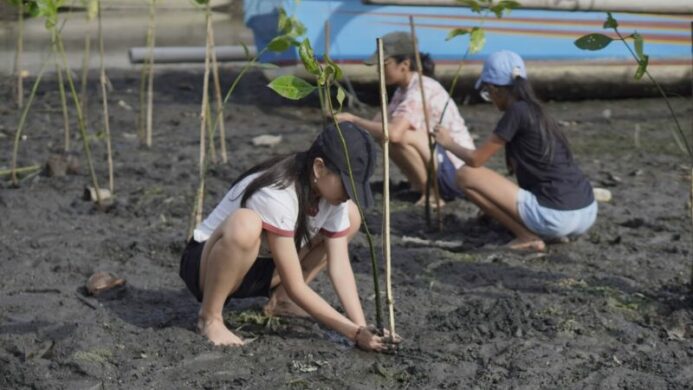Donasi Pohon LindungiHutan