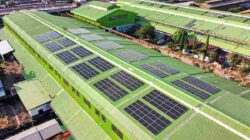 KAI Properti Rampungkan Pemasangan PLTS di 9 Lokasi Fasilitas KAI: Dukung Efisiensi Energi dan Komitmen ESG