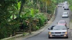 Baleno Car Community Ngapak Raya Gelar Anniversary ke-5 di Banyumas