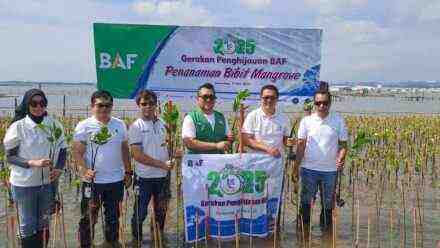 Inovatif! Startup Ini Bantu Perusahaan Lakukan CSR Lewat Pohon