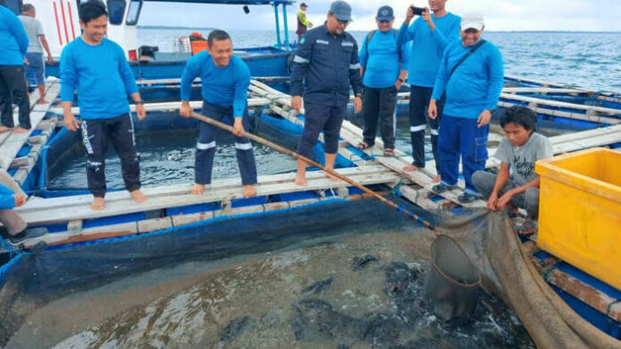 MIND ID Komitmen Perkuat Pendampingan Budidaya Ikan Laut