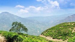 How Cilacap is Embracing Sustainable Tourism