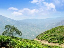 How Cilacap is Embracing Sustainable Tourism