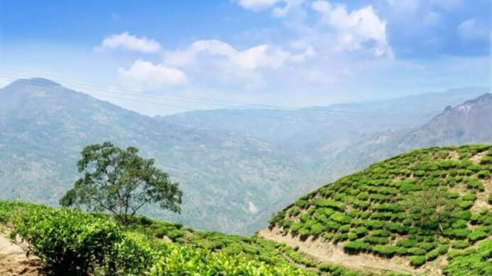 green hills