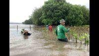 LindungiHutan Ajak Publik Lestarikan Alam di Hari Konservasi Alam Sedunia