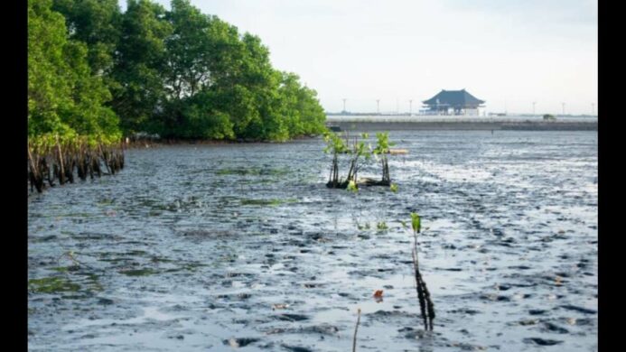 Hari Kanker Paru Sedunia LindungiHutan Tegaskan Pentingnya Tutupan Hijau untuk Udara Bersih dan Kesehatan Paru