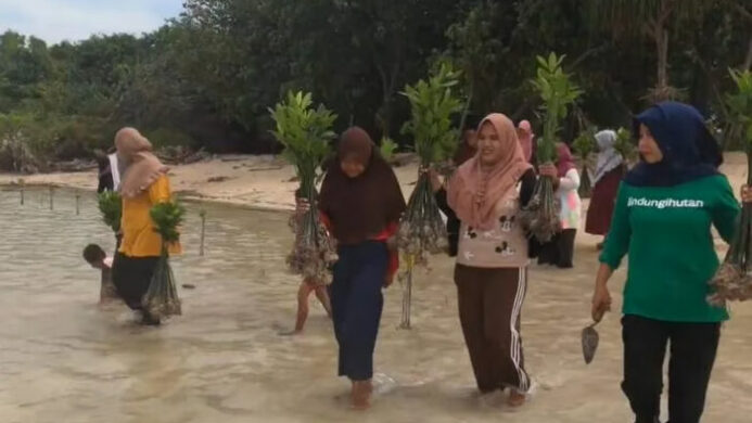 Perempuan Penjaga Pesisir: Mak Jah dan Teh Aas, Simbol Gerakan Hijau
