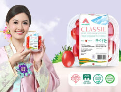 Stevia: Pemanis Masa Depan yang Sedang Diadopsi Produk Premium