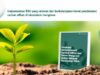 Implementasi ESG Lewat Mangrove LindungiHutan Rilis eBook Panduan untuk Dunia Usaha di Tengah Krisis Iklim