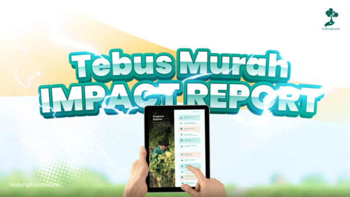 LindungiHutan Luncurkan “Tebus Murah Impact Report” untuk Dorong Transparansi dan Akuntabilitas CSR Perusahaan