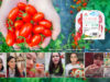 Cherry Tomato Stevia Astyfarm