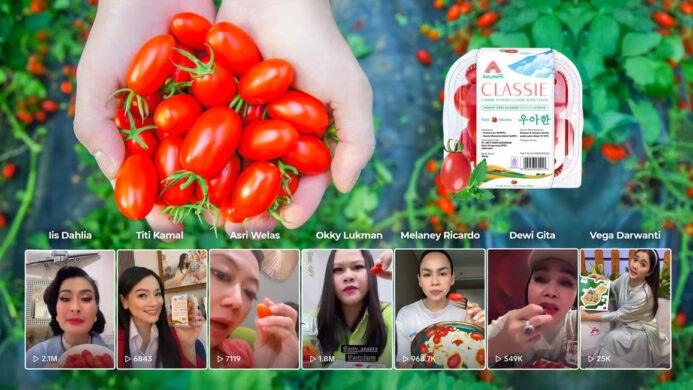 Cherry Tomato Stevia Astyfarm