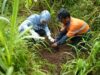 WSBP Tanam Pohon Trembesi