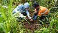 Jaga Kelestarian Alam Indonesia, WSBP Kembali Tanam 536 Pohon Trembesi