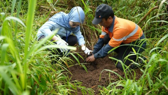 WSBP Tanam Pohon Trembesi