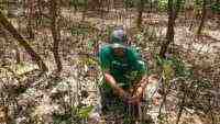 Warga Wonorejo Bangkitkan Ekonomi Lewat Rehabilitasi Mangrove Bersama LindungiHutan