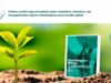 LindungiHutan Luncurkan E book Sustainability Report 101 untuk Bantu Perusahaan Susun Laporan Bisnis Berkelanjutan