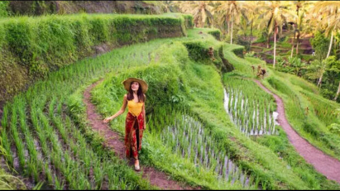 Bali Sun Tours Luncurkan Portofolio Pengalaman 2025 dan Pemesanan Langsung